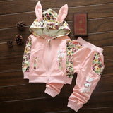 Ensemble 2 Pièces - Sweat à Capuche Lapin & Pantalon Ensemble - Vêtements Enfant Bébé Rose pâle / 6M - Parents Sereins